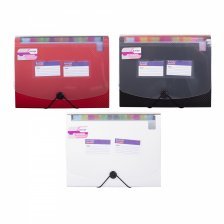 Папка-картотека на пуговице  Alingar, A4, "Office", 330х240х33 мм, 1600 мкм,13 отделений, два кармана для визиток, ассорти, матовая, текстура