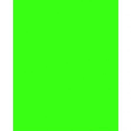 Бумага цветная для офиса А4, 20л., Неон "Зеленый ", Alingar, 70г/м2, пленка т/у фото 2